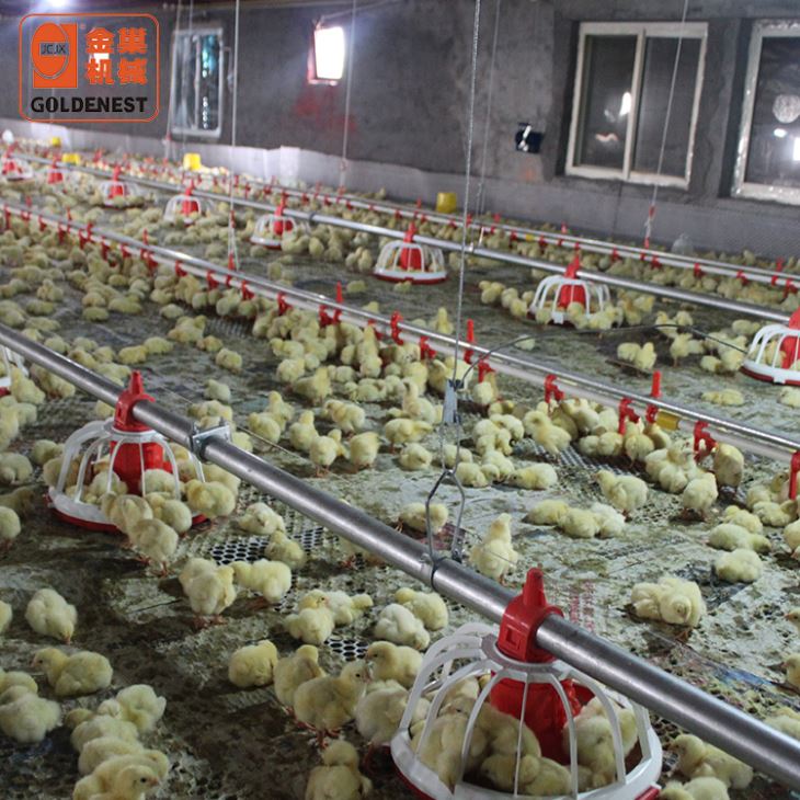Poultry Farming Equipment Broiler Pan Feeding Line For Sale Poultry Farming Equipment Broiler Pan Feeding Line For Sale
