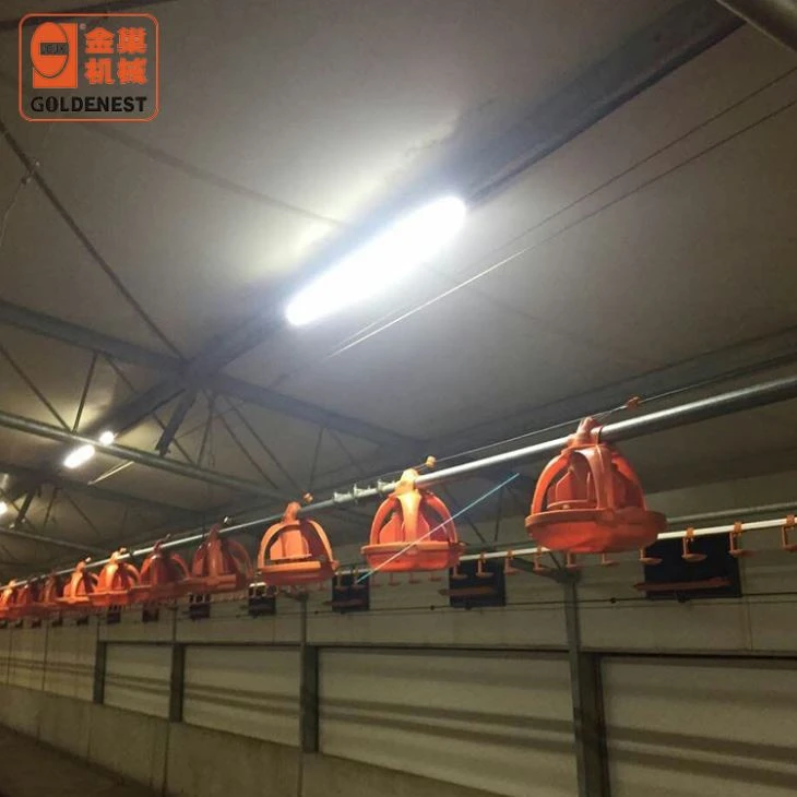 Poultry House Poultry Farming LED Light System Poultry House Poultry Farming LED Light System