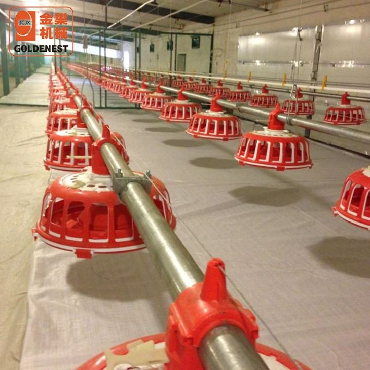 Breeder Feeding Equipment Feeder Pan